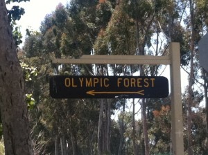 olympic forest