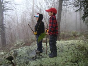 hiking sticks
